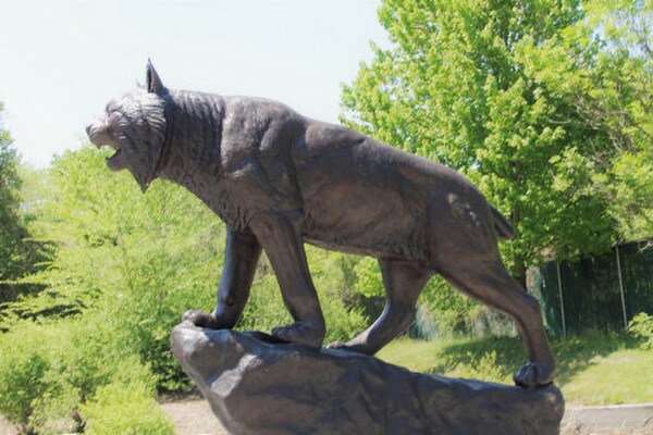 Bob Cat Bronze Sculpture Side View Mascot School Statuary